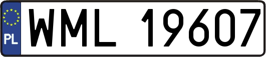 WML19607