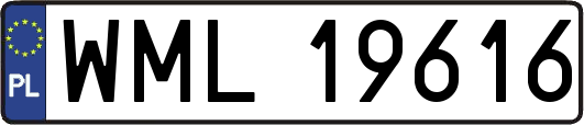 WML19616