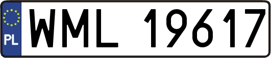 WML19617