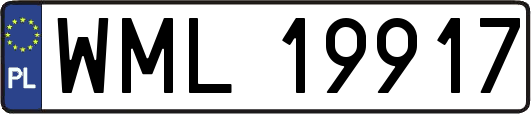 WML19917