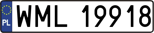WML19918