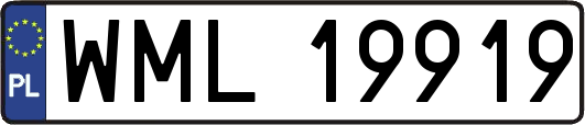 WML19919