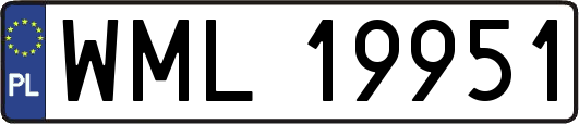 WML19951