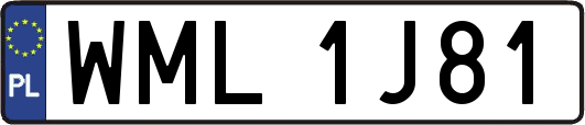 WML1J81