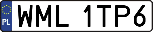 WML1TP6