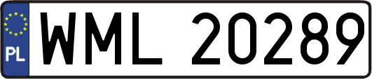 WML20289