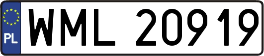 WML20919