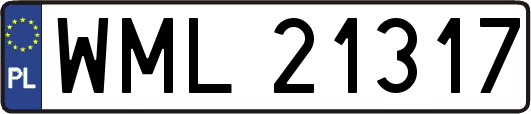 WML21317