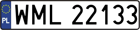WML22133