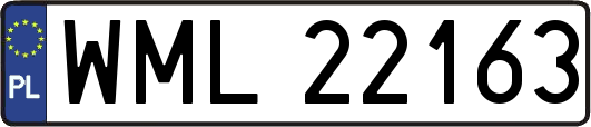 WML22163