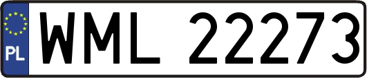 WML22273