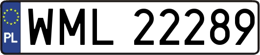 WML22289