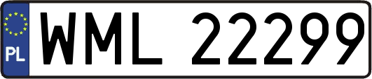 WML22299