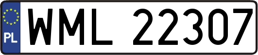WML22307