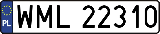 WML22310