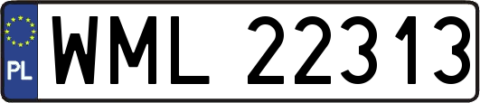 WML22313