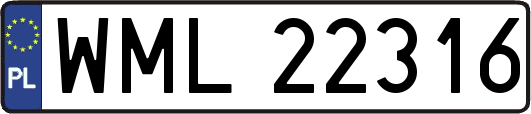 WML22316