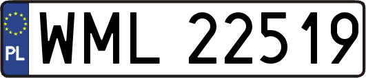 WML22519