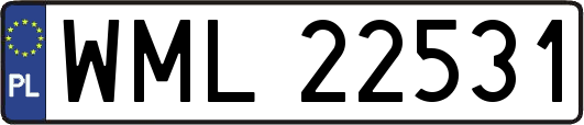 WML22531