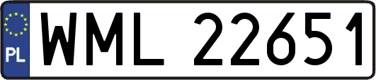 WML22651