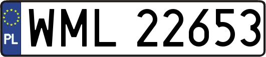 WML22653