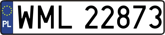 WML22873