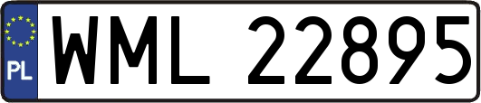 WML22895