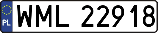 WML22918