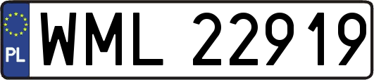 WML22919