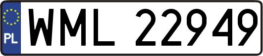 WML22949