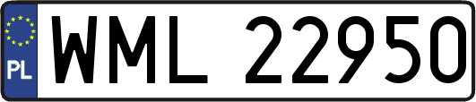 WML22950