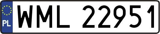 WML22951