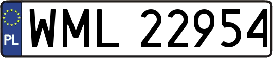 WML22954