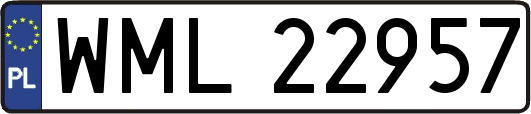 WML22957