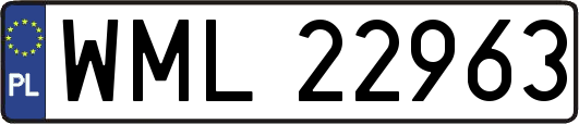 WML22963