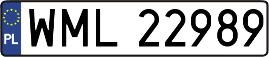 WML22989