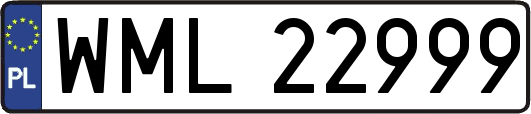 WML22999