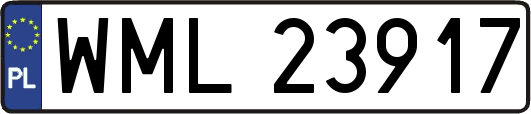 WML23917