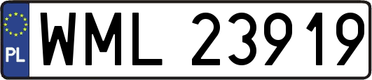 WML23919