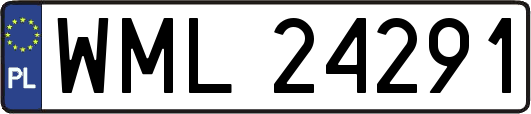 WML24291