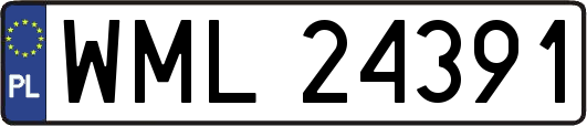 WML24391