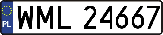 WML24667