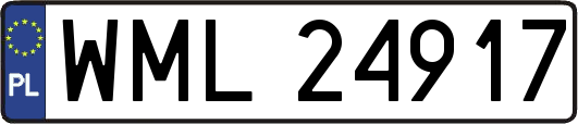 WML24917