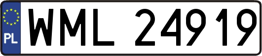 WML24919