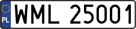 WML25001