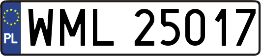 WML25017