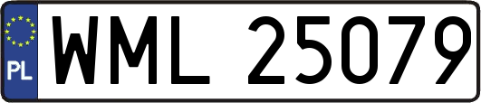 WML25079