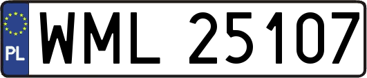 WML25107