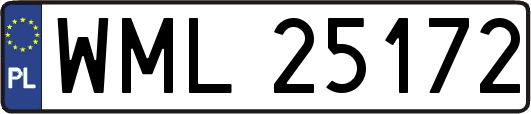 WML25172