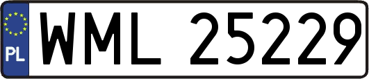 WML25229